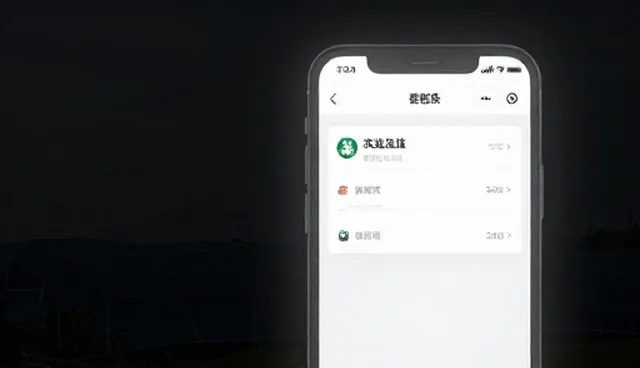 电商运营中小程序开发的选型与维护建议